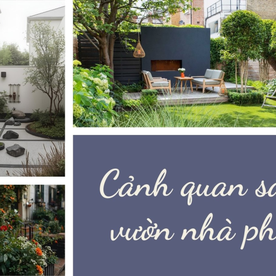Cảnh quan sân vườn nhà phố