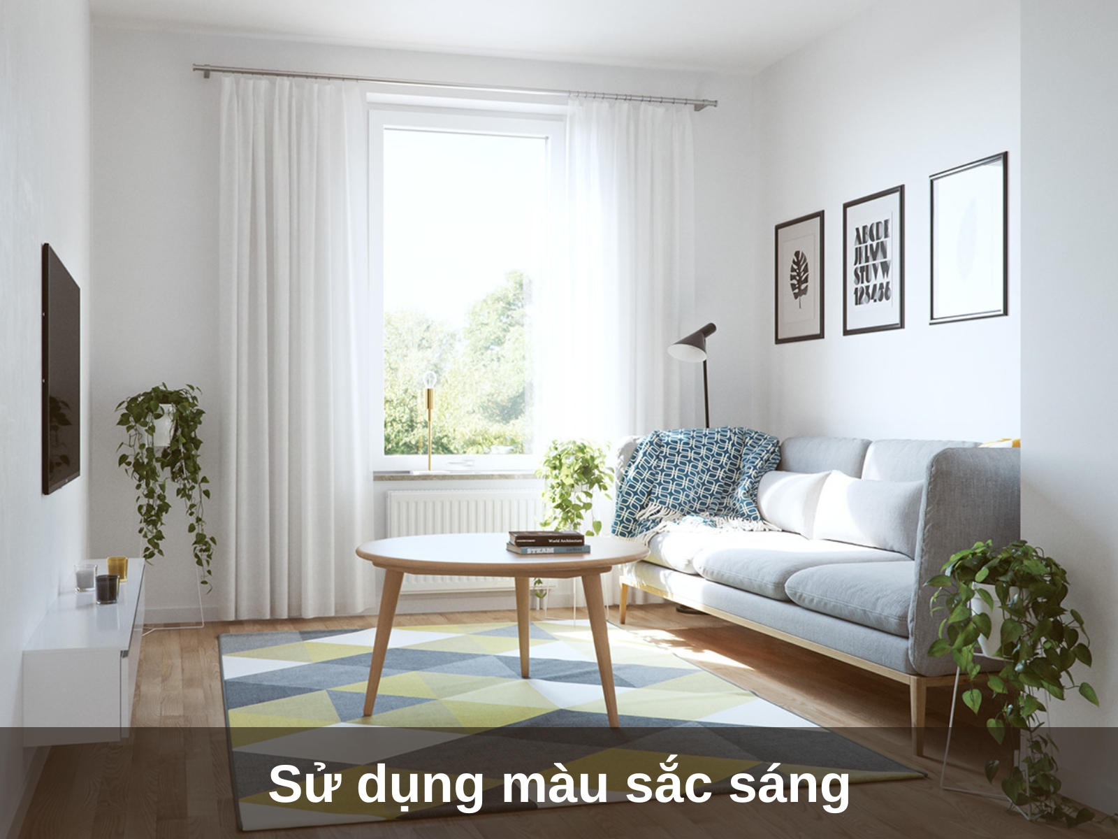 Lựa chọn màu sắc chủ đạo