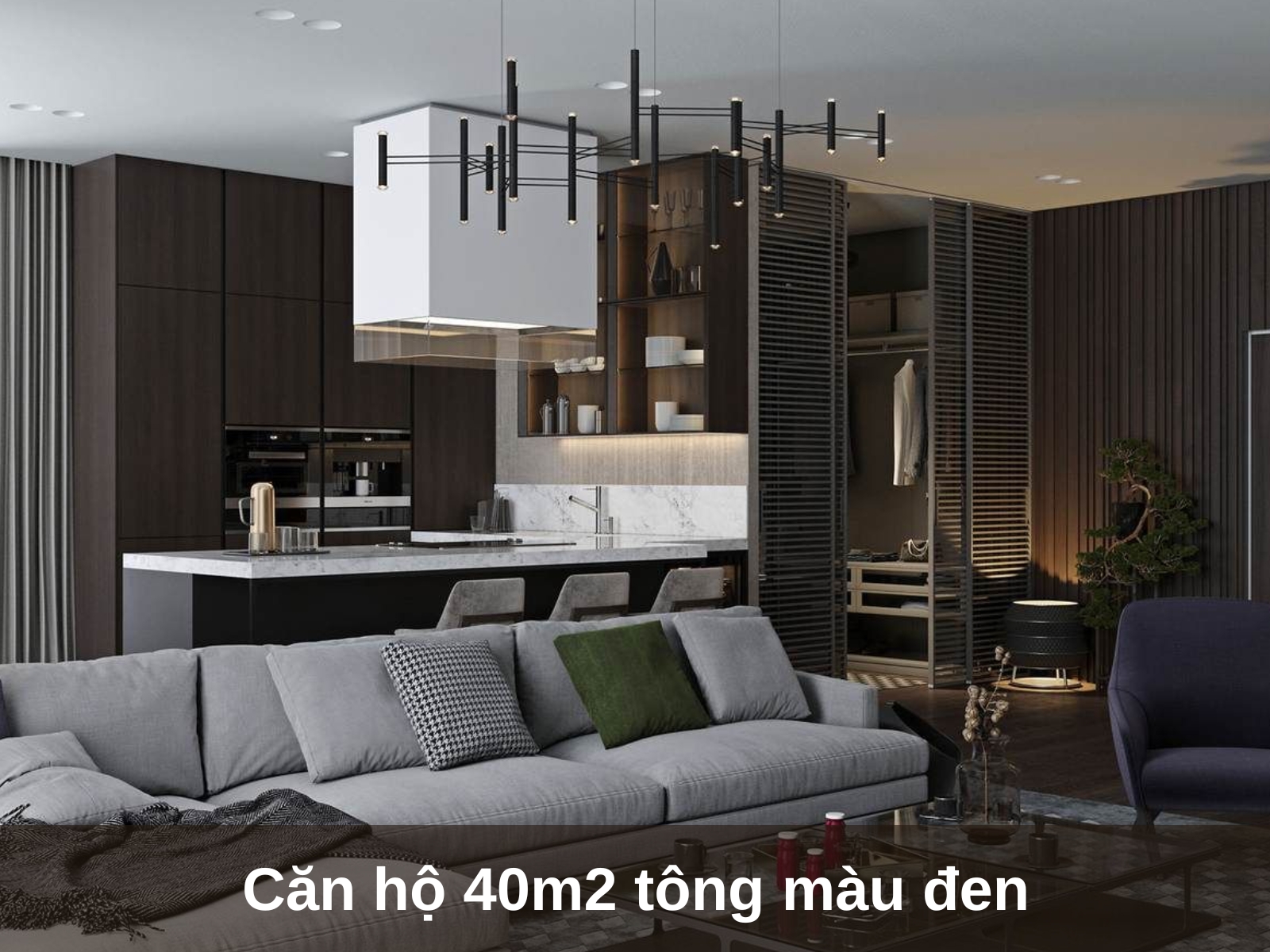 trang tri noi that can ho 40m2 tong mau den