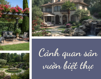 Cảnh quan sân vườn biệt thự