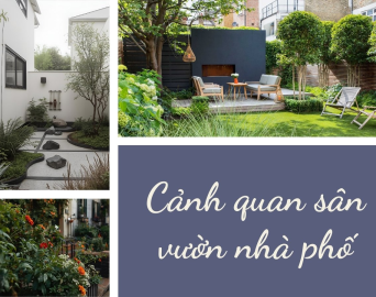 Cảnh quan sân vườn nhà phố