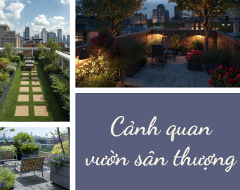 Cảnh quan vườn sân thượng