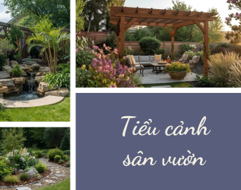 Tiểu cảnh sân vườn
